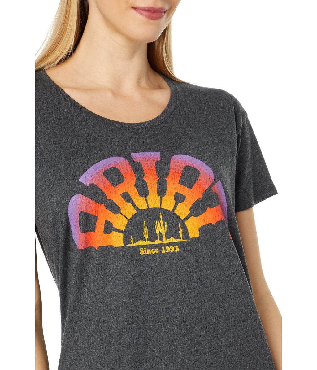 Ariat Women's Rainbow T-Shirt, Charcoal Heather