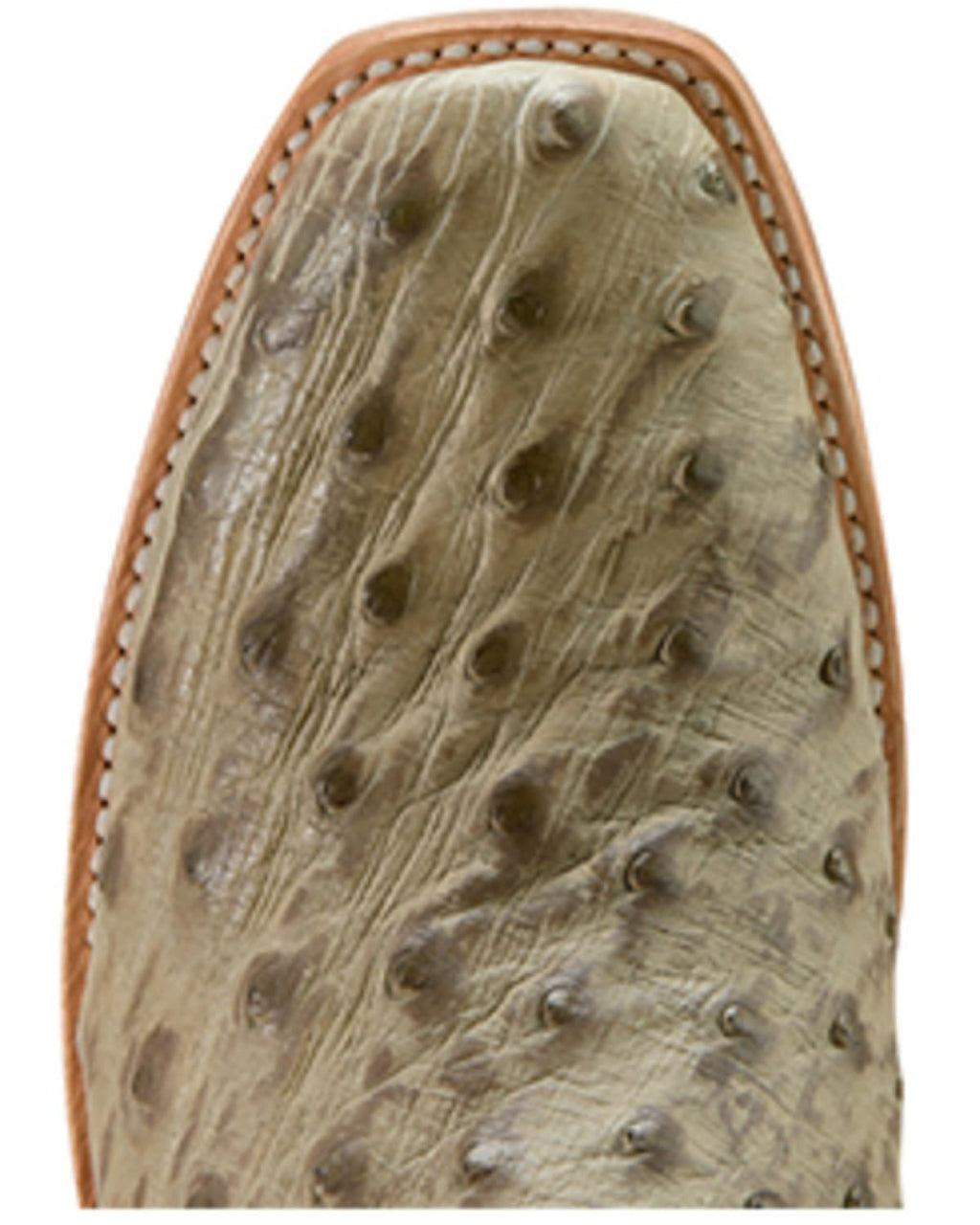 Ariat Men's Futurity Outlaw Narrow Cutter Toe Cowboy Boot - Platinum Full Quill Ostrich