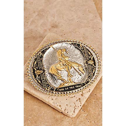 Montana Silversmiths Southwest Collection Attitude Western Belt Buckle