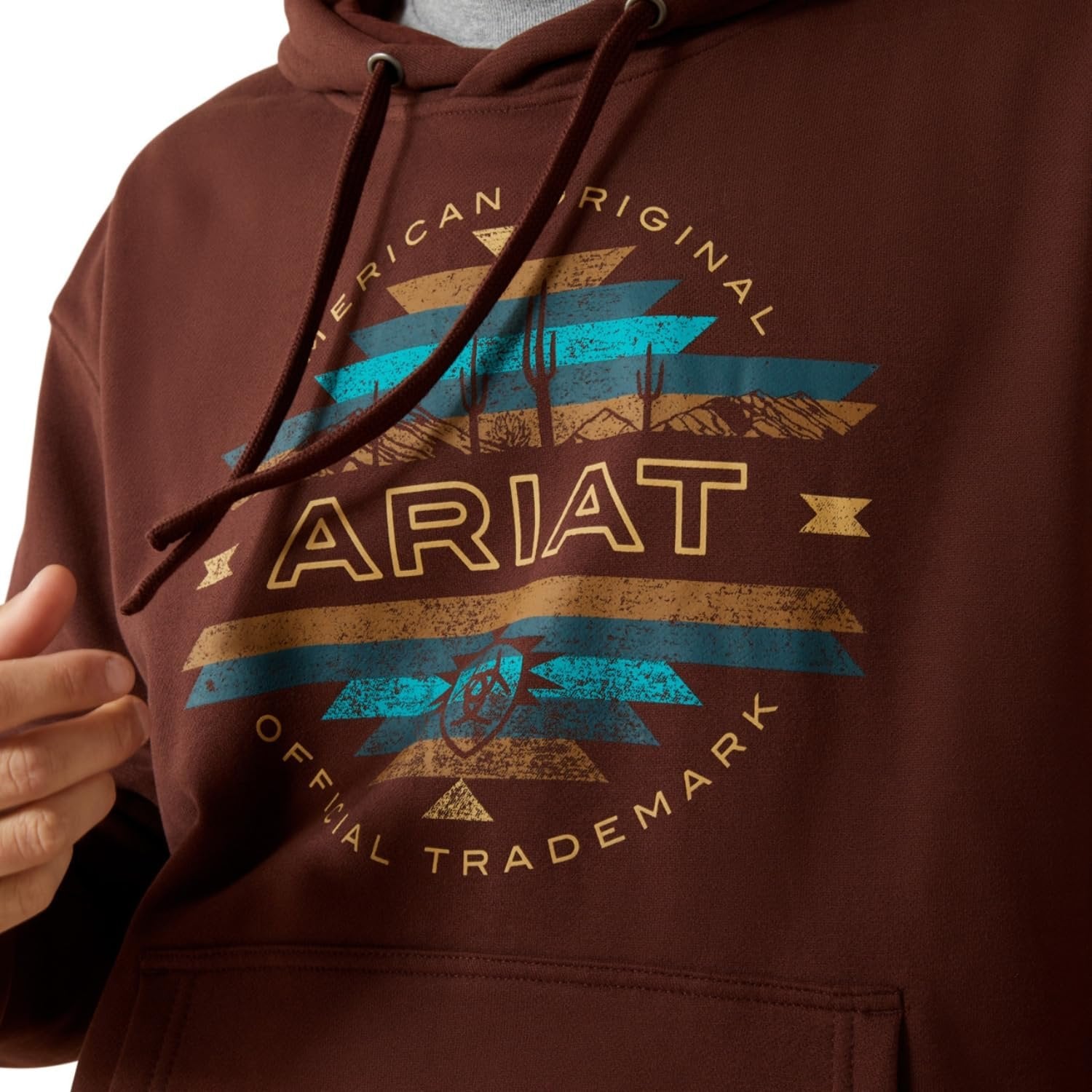 Ariat Men's Carlsbad Canyon Hoodie, Brown
